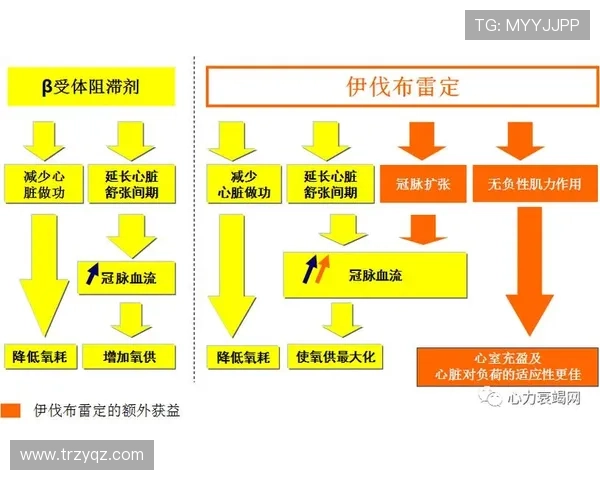 北京乒乓球队耐力训练的关键因素与提升策略探讨