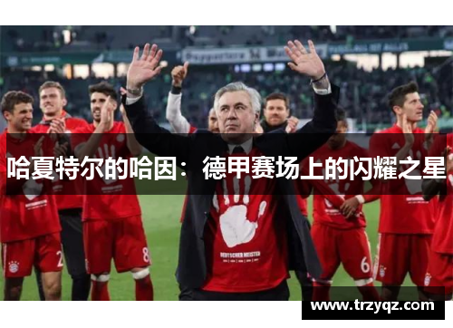 哈夏特尔的哈因：德甲赛场上的闪耀之星