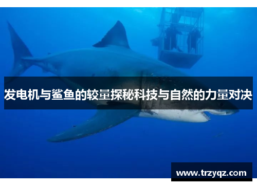 发电机与鲨鱼的较量探秘科技与自然的力量对决